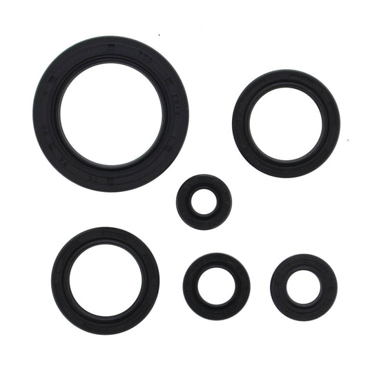 Oil Seal Kit 822978