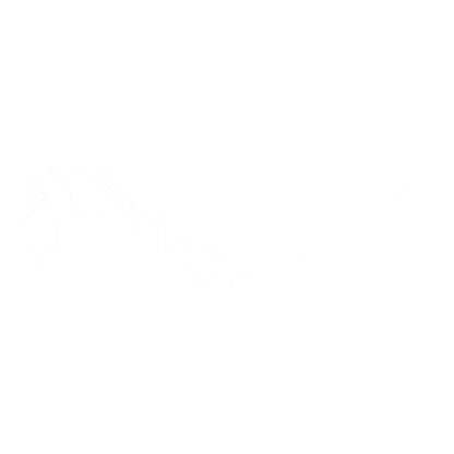 Zeta Clutch Reservoir Cover Honda CRF450R '21-, Kawasaki KX450 '19-