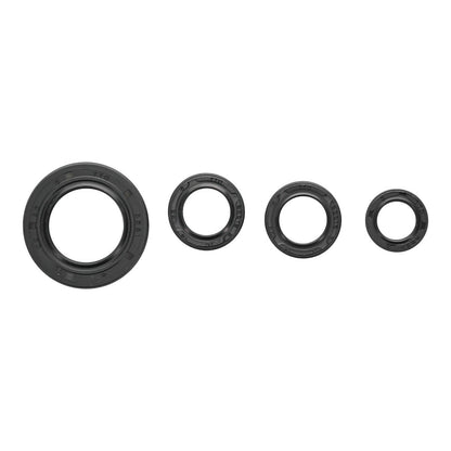 Oil Seal Kit 822395